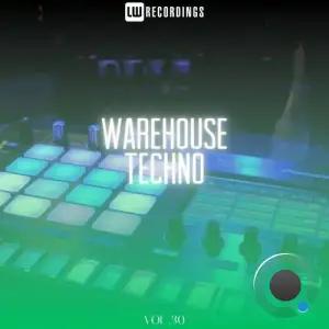  Warehouse Techno, Vol. 30 (2024) 