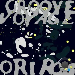  Ori Raz - Groove Voyage (2024) 