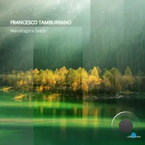  Francesco Tamburrano - Mandragora Seeds (2024) 