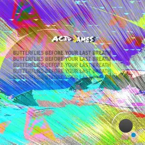  Acid James - Butterflies Before Your Last Breath (2024) 