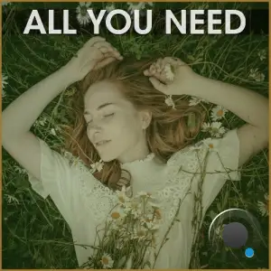  Abel Marvin - All You Need (2024) 