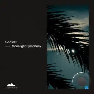  flanerr - Moonlight Symphony (2024) 