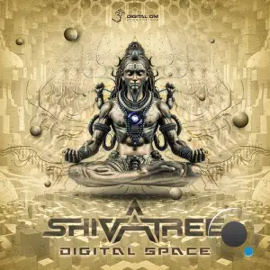  Shivatree - Digital Space (2024) 