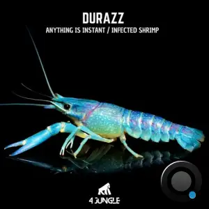  Durazz - Anything Is Instant / Infected Shrimp (2024) 