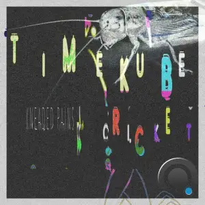  TimeKube - Cricket (2024) 