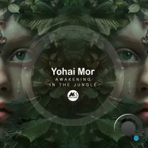  Yohai Mor - Awakening in the Jungle (2024) 