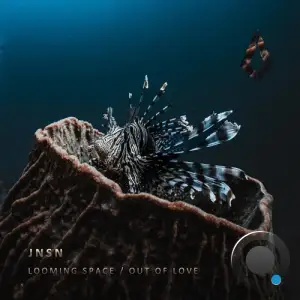  JNSN - Looming Space / Out of Love (2024) 