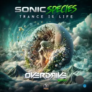  Sonic Species - Trance Is Life (Overdrive Remix) (2024) 