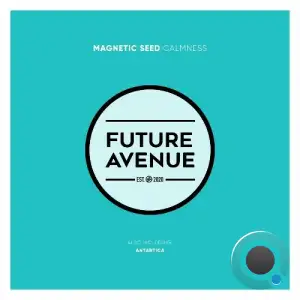  Magnetic Seed - Calmness (2024) 