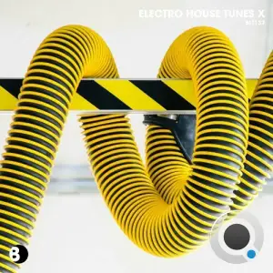  Electro House Tunes X (2024) 