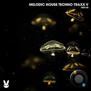  Melodic House Techno Traxx V (2024) 