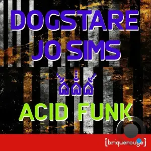  Dogstare & Jo Sims - Acid Funk (2024) 