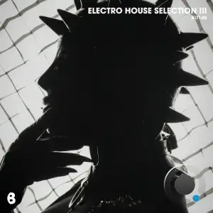  Electro House Selection III (2024) 
