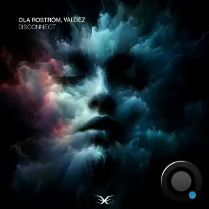  Ola Roström & Valdez - Disconnect (2024) 