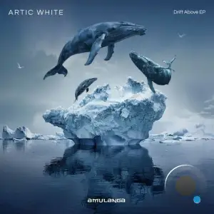  Artic White - Drift Above (2024) 