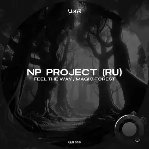  NP Project (RU) - Feel the Way / Magic Forest (2024) 