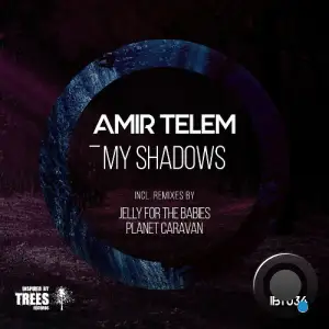  Amir Telem - My Shadows (2024) 