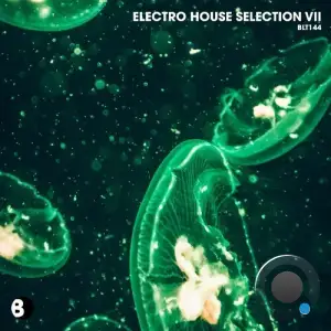  Electro House Selection VII (2024) 