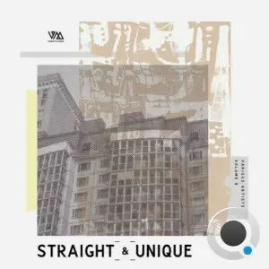  Straight & Unique, Vol. 8 (2024) 