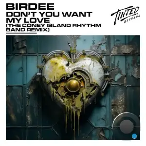  Birdee - Dont You Want My Love (The Coney Island Rhythm Band Extended Remix) (2024) 