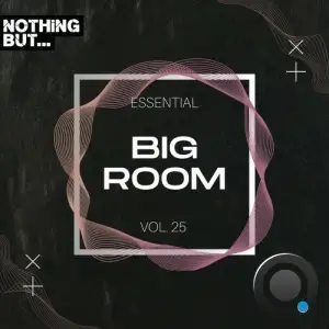  Nothing But... Essential Big Room, Vol. 25 (2024) 