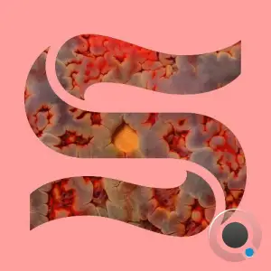  Joe Goddard & Laima - Rapid Fire (2024) 
