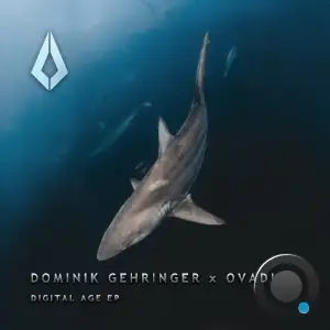  Dominik Gehringer & Ovadia - Digital Age (2024) 