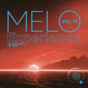  Melo Experience, Vol. 11 (2024) 