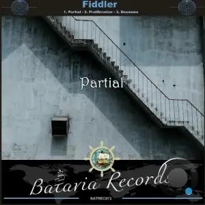  Fiddler - Partial (2024) 
