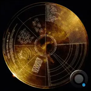  This Is Stellar Vol. 1 (2024) 