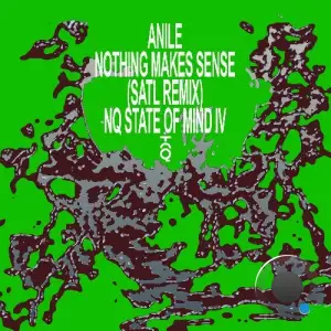  Anile - Nothing Makes Sense (Satl Remix) (2024) 