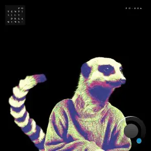 Cosmosky - Rakon (2025)