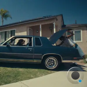 Seafood Sam, Alexander Spit, sstray, Jay 305 - DOGS IN THE FRONT YARD (2025)