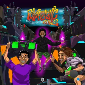 Skore Vs. Benedix & Macrocosmic Feat. Psyfeature - Psychedelic Boyz (2025)