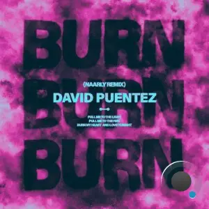 David Puentez - Burn (Naarly Extended Remix) (2025)