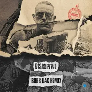 Audio & Black Sun Empire - Disruptive (Burr Oak Remix) (2025)