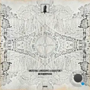 Ancestral Landscapes & Adjust (BE) - Metamorphosis (2025)