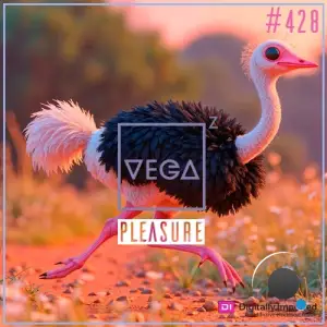 Vega Z - Pleasure 428 (2025-04-22)
