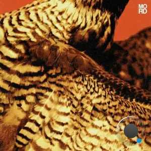 Amorphic & Tensal - Highland Frequencies (2025)