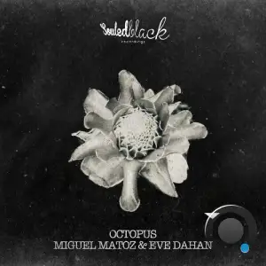 Miguel Matoz & Eve Dahan - Octopus (2025)