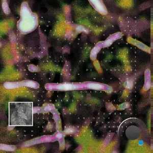 Dean Grenier - View Source (2025)