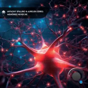 Aurelien Stireg & Anthony Spallino - Memories Never Die (2025)