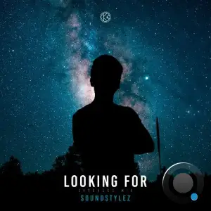 Soundstylez - Looking For (2025)