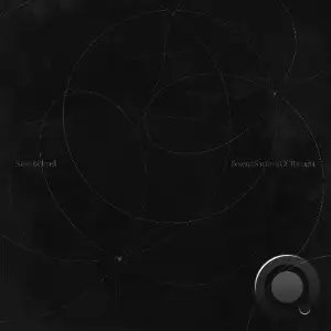 Steve Bicknell - Several Streams of Thought LP (2025)