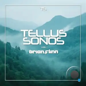 Brian Flinn - Tellus Sonos 013 (2025-05-24)